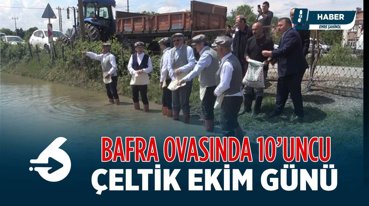 Bafra Ovası’nda “10. Çeltik Ekim Günü” 